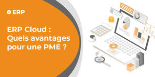 erp cloud pme