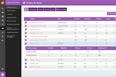 logiciel gestion de magasin