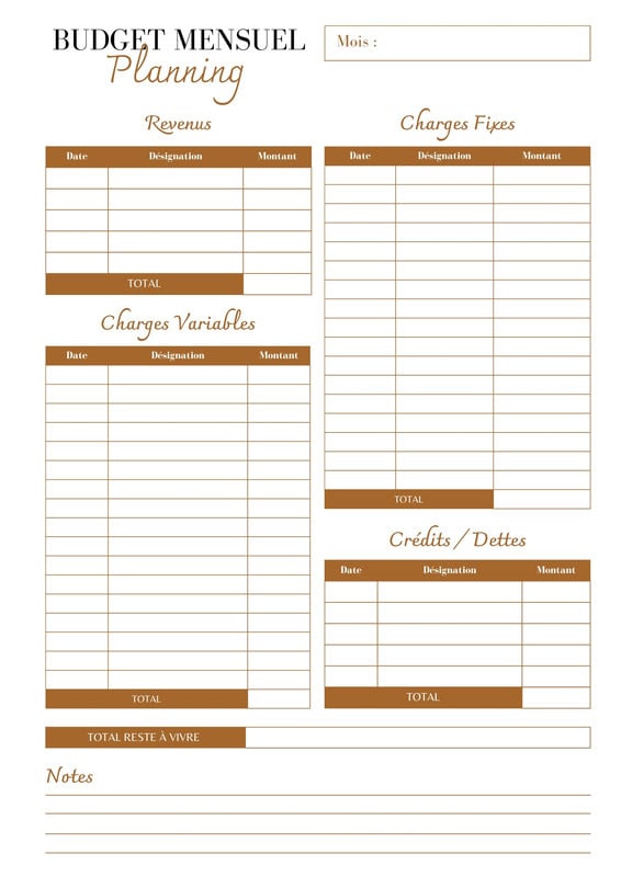 logiciel de gestion des dépenses