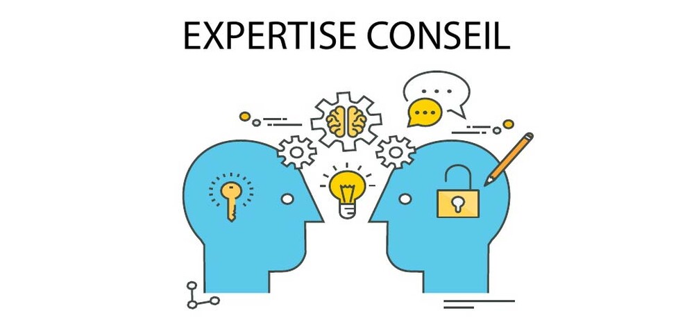 'expertise